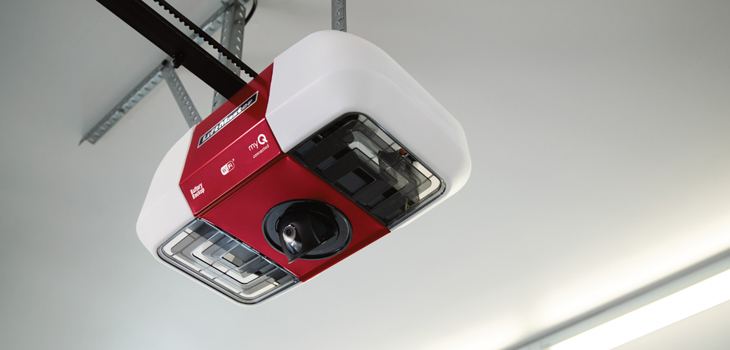 liftmaster garage door motor repair in Belmont Heights